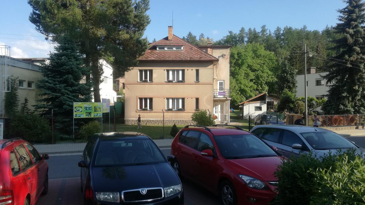 Vila Sazava ภายนอก รูปภาพ